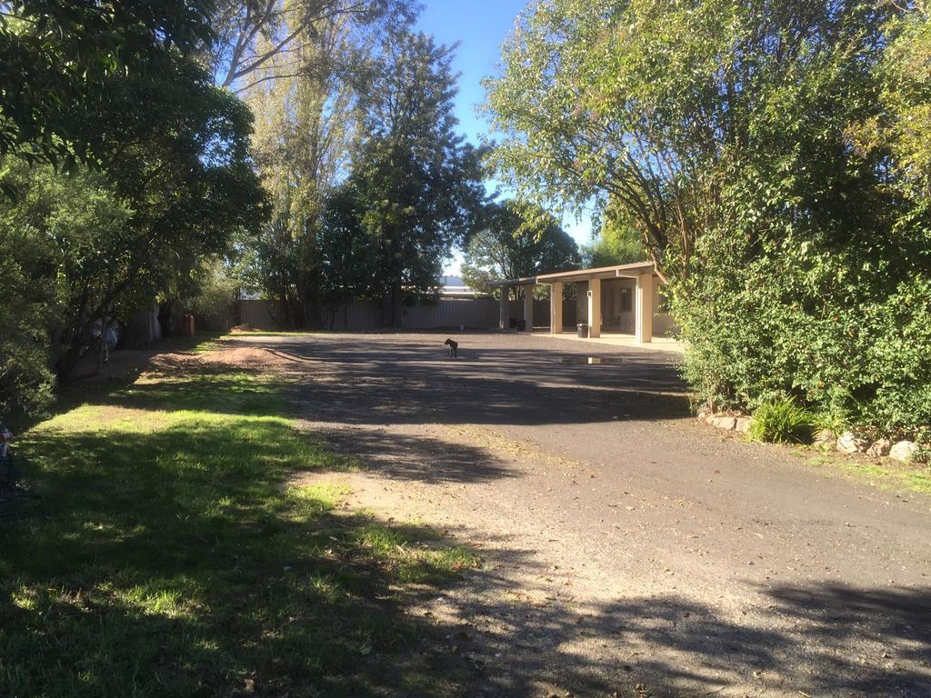 Murray Valley Motel Wodonga Kültér fotó