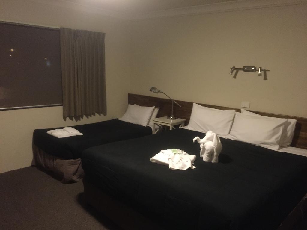 Murray Valley Motel Wodonga Kültér fotó